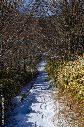 雪景色