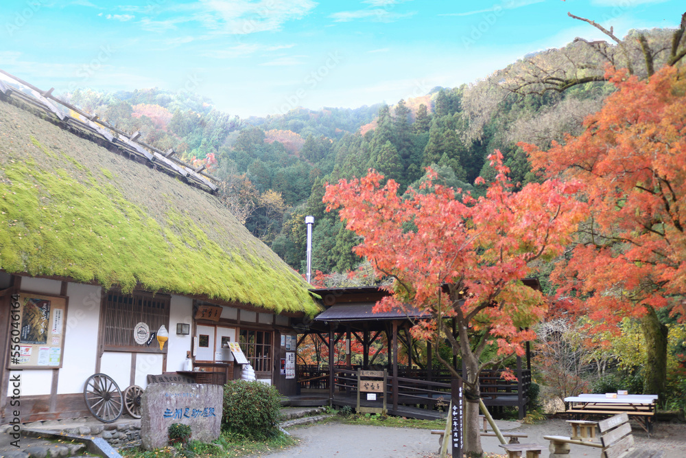 [愛知県]豊田市香嵐渓の紅葉と茶屋