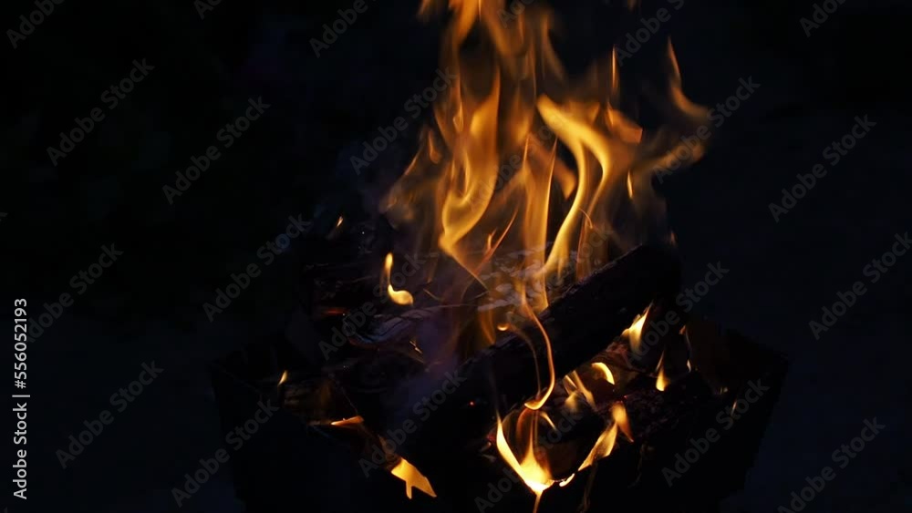 Evening open fire flame outdoors. Red flames of campfire on dark ground at campsite in wild at overcast. Closeup bonfire with firewood on backdrop. Selective focus. Autumn relax camping mood. Footage Evening open fire flame outdoors. Red flames of campfire on dark ground at campsite in wild at overcast. Closeup bonfire with firewood on backdrop. Selective focus. Autumn relax camping mood. Footage