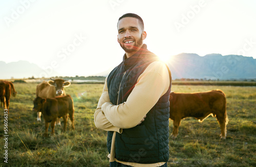 Agriculture, man and farming, cows on field for sunrise feed and farmer on land in Argentina countryside. Portrait, cattle farm and sustainability with beef and milk industry, agribusiness with flare
