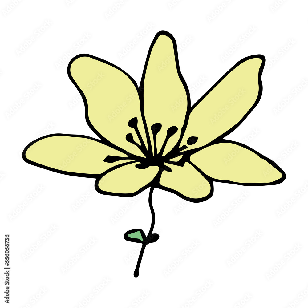 Simple flower clipart. Hand drawn floral doodle. For print, web, design, decor, logo