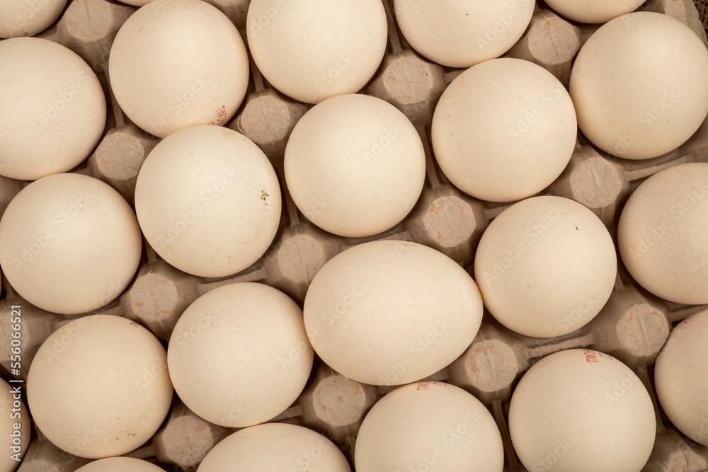 White chicken eggs in a cardboard box on the table. Close-up, selective focus White chicken eggs in a cardboard box on the table. Close-up, selective focus