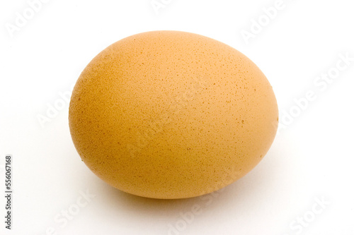 Fresh egg