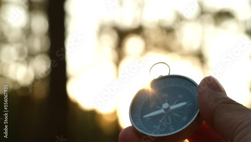 Compass in hand on natural pine forest background. hand holding compass in forest landscape. Young traveler searching direction with compass in summer mountains.