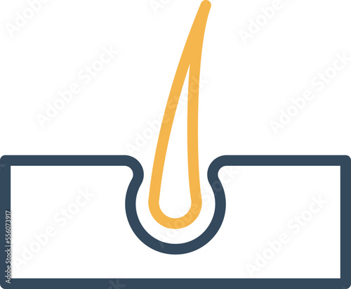 growth hair treatment Vector Icon
