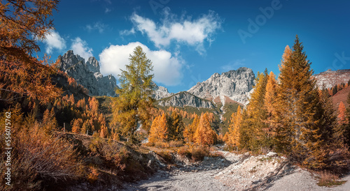Stunning alpine highlands in sunny day. Amazing mountain landscape with colorful trees and perfect cloudy sky. Incredible Filzmoos, Salzburg, Austria. Popular travel destination. Amazing wild nature