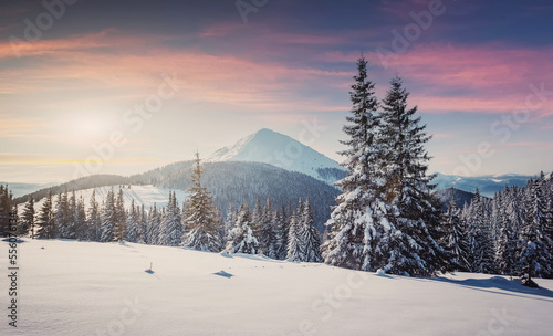 Fantastic winter sunset in the mountain. Panoramic view of the picturesque snowy winter landscape. Snow covered fir trees on the background of mountain peak. Christmas holiday concept © jenyateua