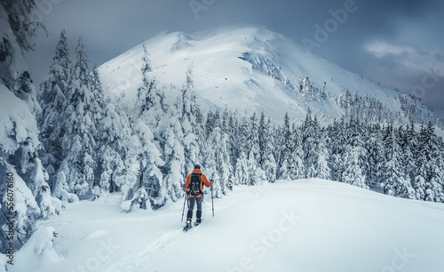 Incredible nature scenery im mountain. Beautiful natural landscape in the winter sunny day. Adventurous traveller standing in front Snowcovered trees and majestic rocky mount, under sunlight.