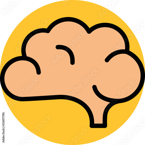  Brain Vector Icon

