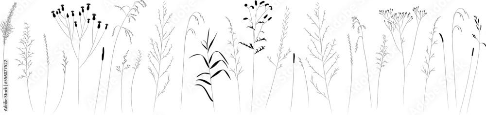 Field and meadow herbs, black outline, trend sketch for eco design. Sketch of medicinal plants, vector drawing for packaging or textile. Field and meadow herbs, black outline, trend sketch for eco design. Sketch of medicinal plants, vector drawing for packaging or textile.