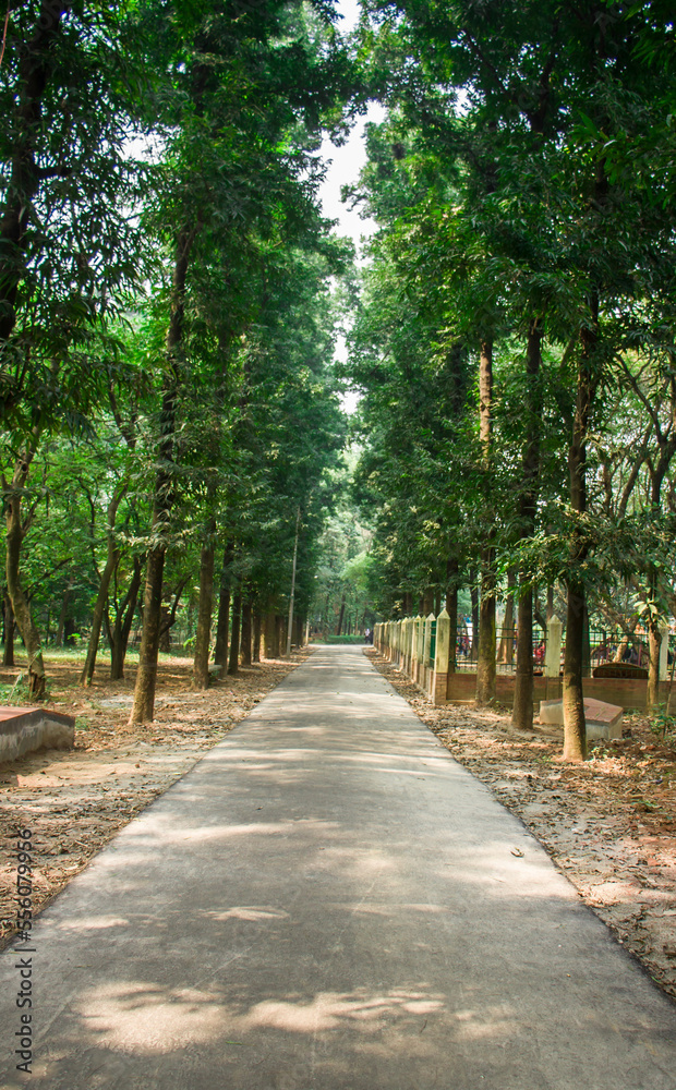 Green path
