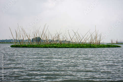 Landscape Photo of River and sky