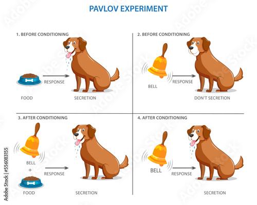 Pavlov's experiment on the dog, conditional mechanisms