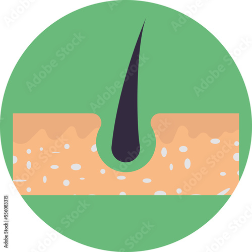 growth hair treatment Vector Icon

