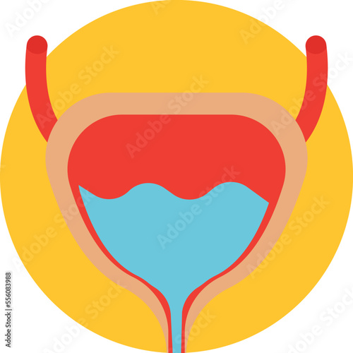 Human Bladder Vector Icon