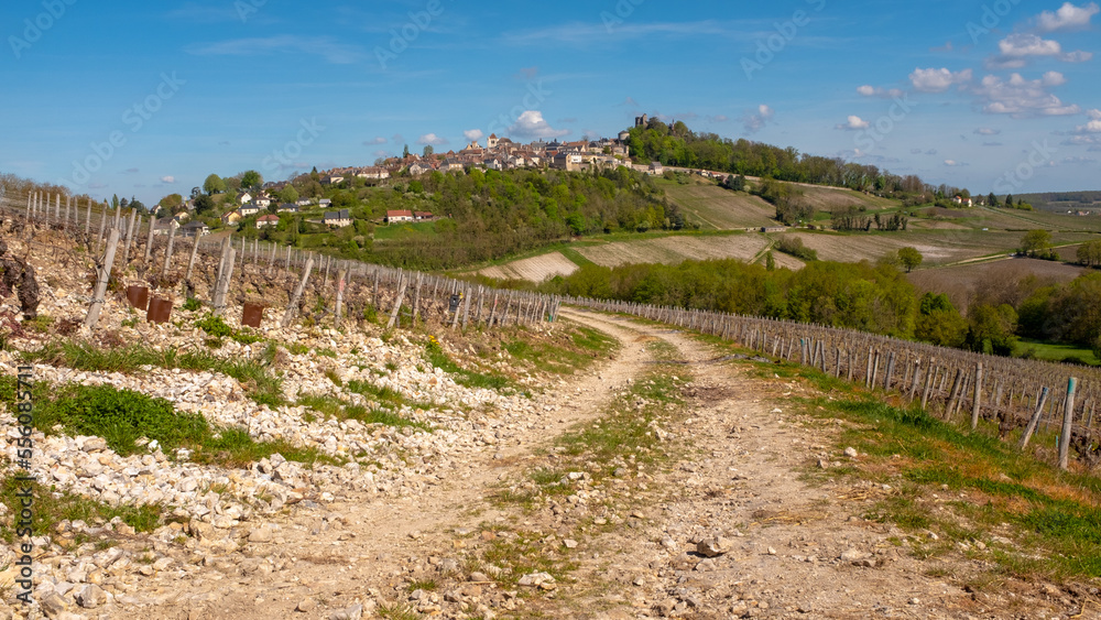 The old city of Sancerre seen from a trail going through the Sancerre vineyards