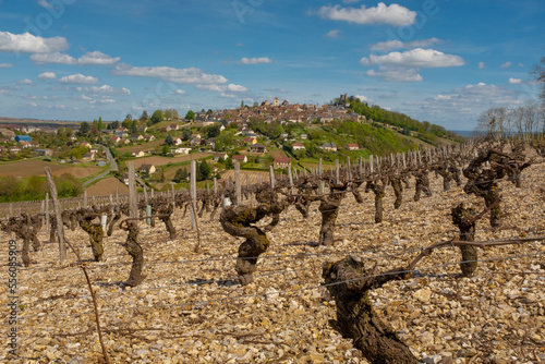 The old city of Sancerre seen from the Sancerre vineyards