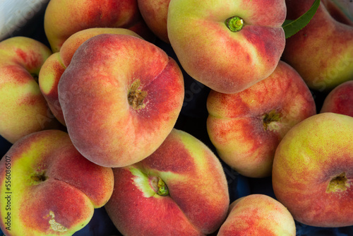 Prunus persica Donut or Saturn Peach. platycarpa, a fruit tree with pale yellow and red flattened fruits, sweeter than most varieties photo