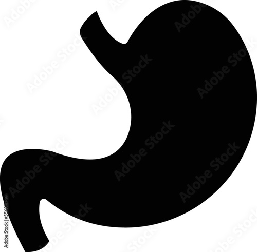 Stomach Vector Icon
