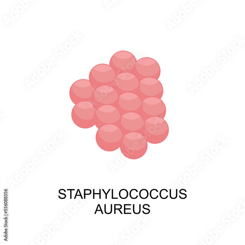 Staphylococcus aureus icon. Staphylococcus aureus bacterium in flat style. Bacteria of Staphylococcus aureus icon. vector illustration