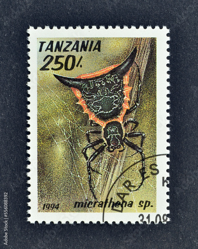 Cancelled postage stamp printed by Tanzania, that shows Woodland Orb-Weaver (Micrathena sp.), circa 1994. photo