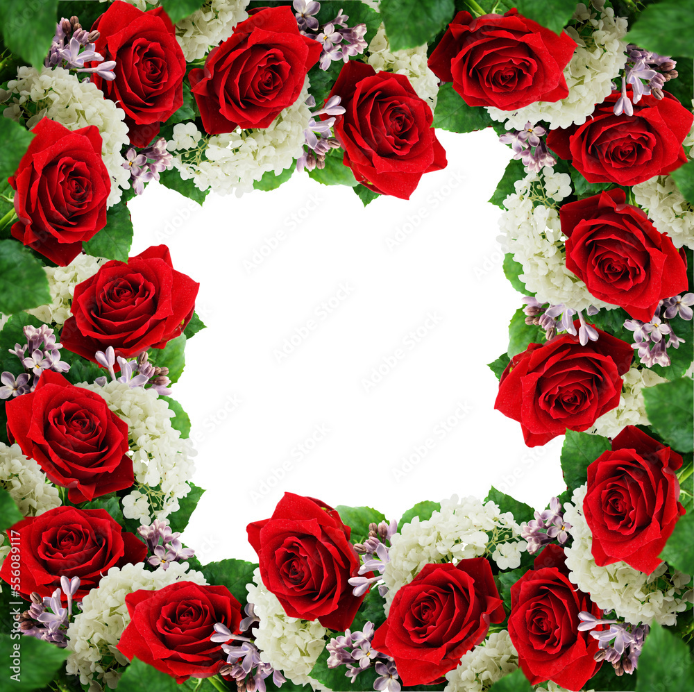 Red roses, hydrangea and lilac flowers in a floral frame isolated on white Red roses, hydrangea and lilac flowers in a floral frame isolated on white