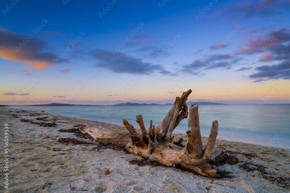 driftwood on a sandy beach with turquoise ocean water and a colorful sunset sky