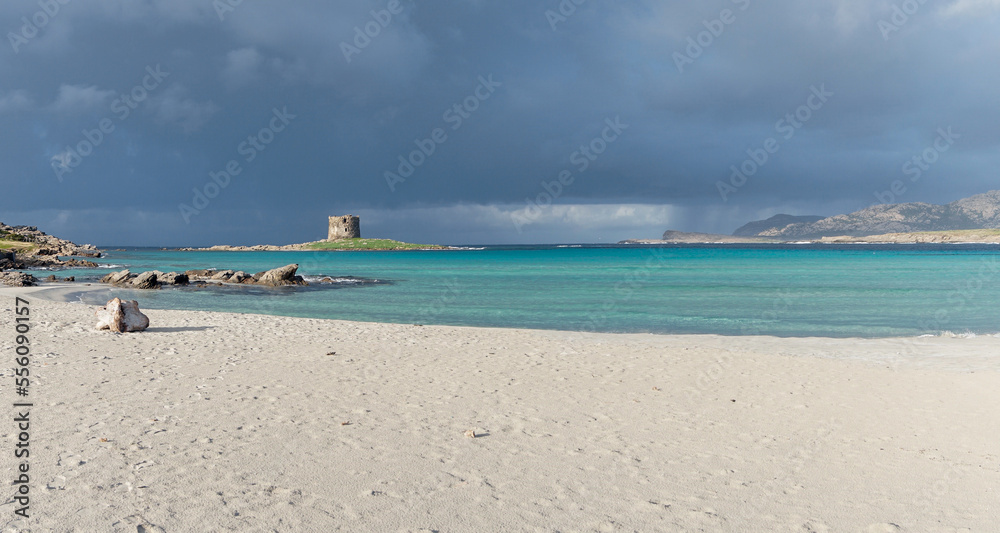 panorama view of the idyllic white sand beach of La Pelosa in northwestern Sardinia