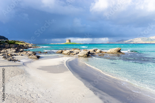 Fototapeta Naklejka Na Ścianę i Meble -  view of the idyllic white sand beach of La Pelosa in northwestern Sardinia