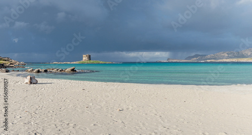panorama view of the idyllic white sand beach of La Pelosa in northwestern Sardinia