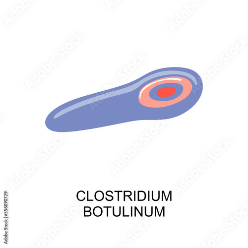 Clostridium botulinum icon. Clostridium botulinum bacterium in flat style. Bacteria of Clostridium botulinum icon. vector illustration