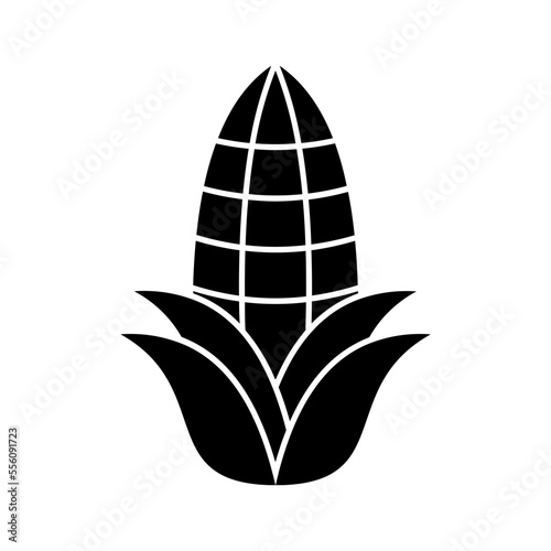 Corn