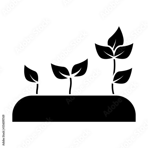 Growth Plant