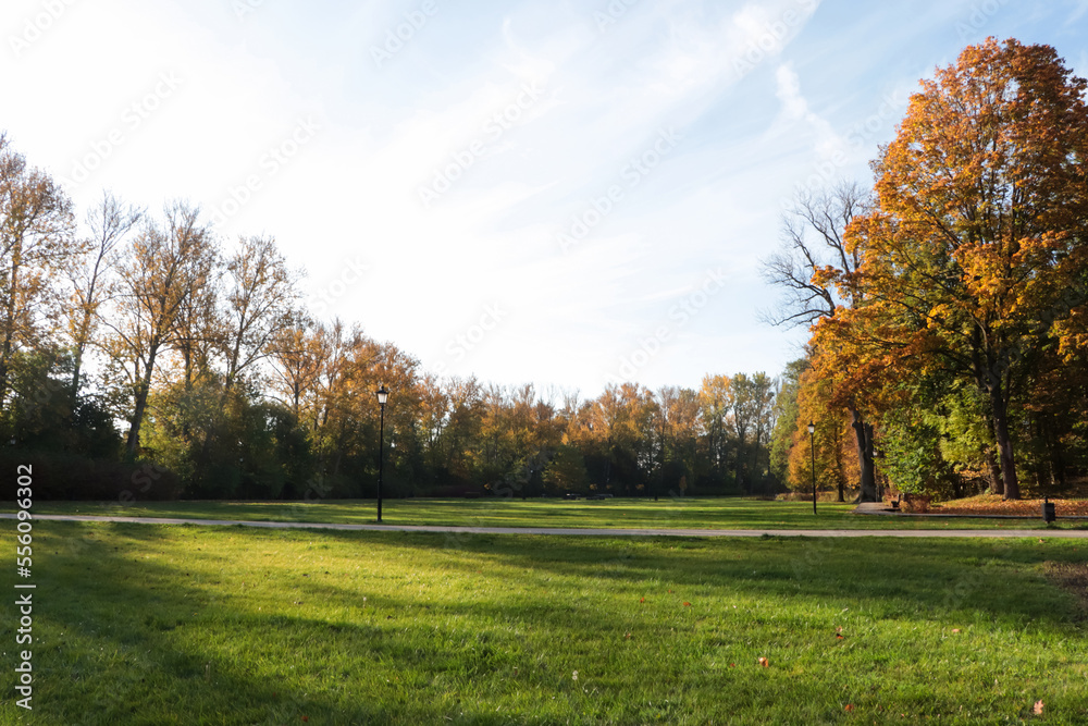 Picturesque view of park with beautiful trees and green grass on sunny day. Autumn season Picturesque view of park with beautiful trees and green grass on sunny day. Autumn season