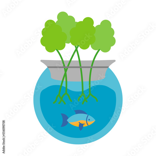 Aquaponics