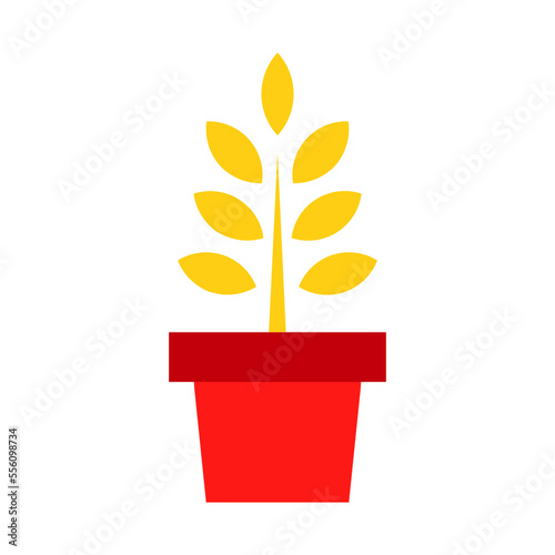 Growth Rice
