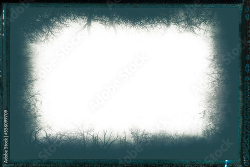 Artistic frame made from foggy bare forest branches with transparent background (png image)- Vintage photo with film grain