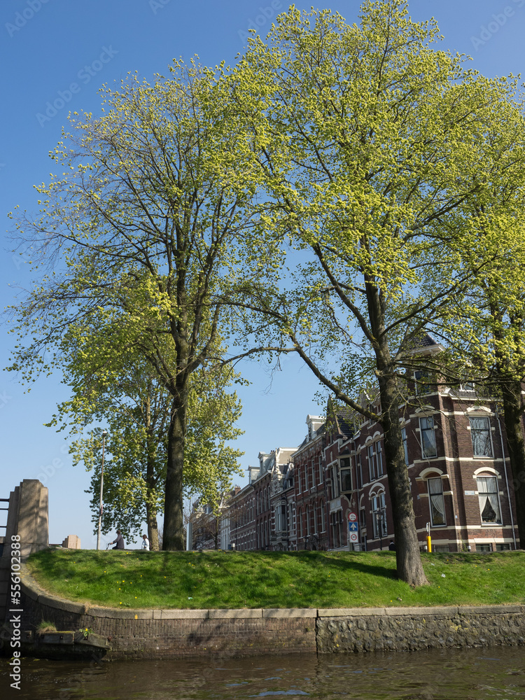 Haarlem in den Niederlanden