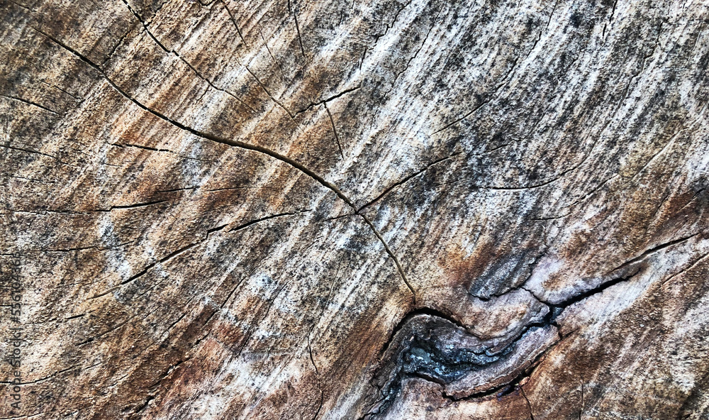 Natural wood texture for background and wallpaper