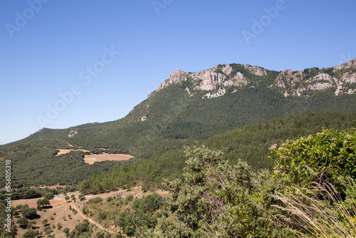 Landscape outside Labastida; Basque Country; Spain