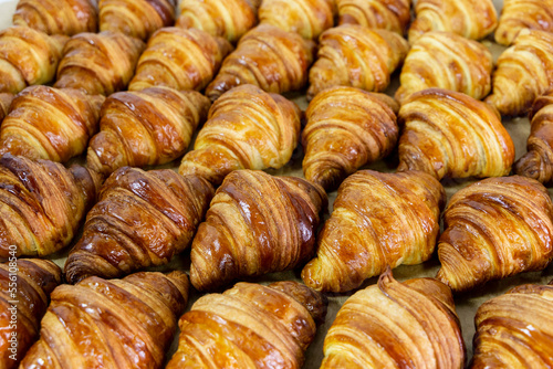 Top view of freshly baked crispy croissants rows on the baking paper