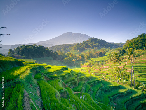 Mount Ciremai, one of the mountains in West Java. This highest mountain in West Java has a very beautiful natural beauty, one of which is in Bantaragung Village and Sindangpano Village.  photo