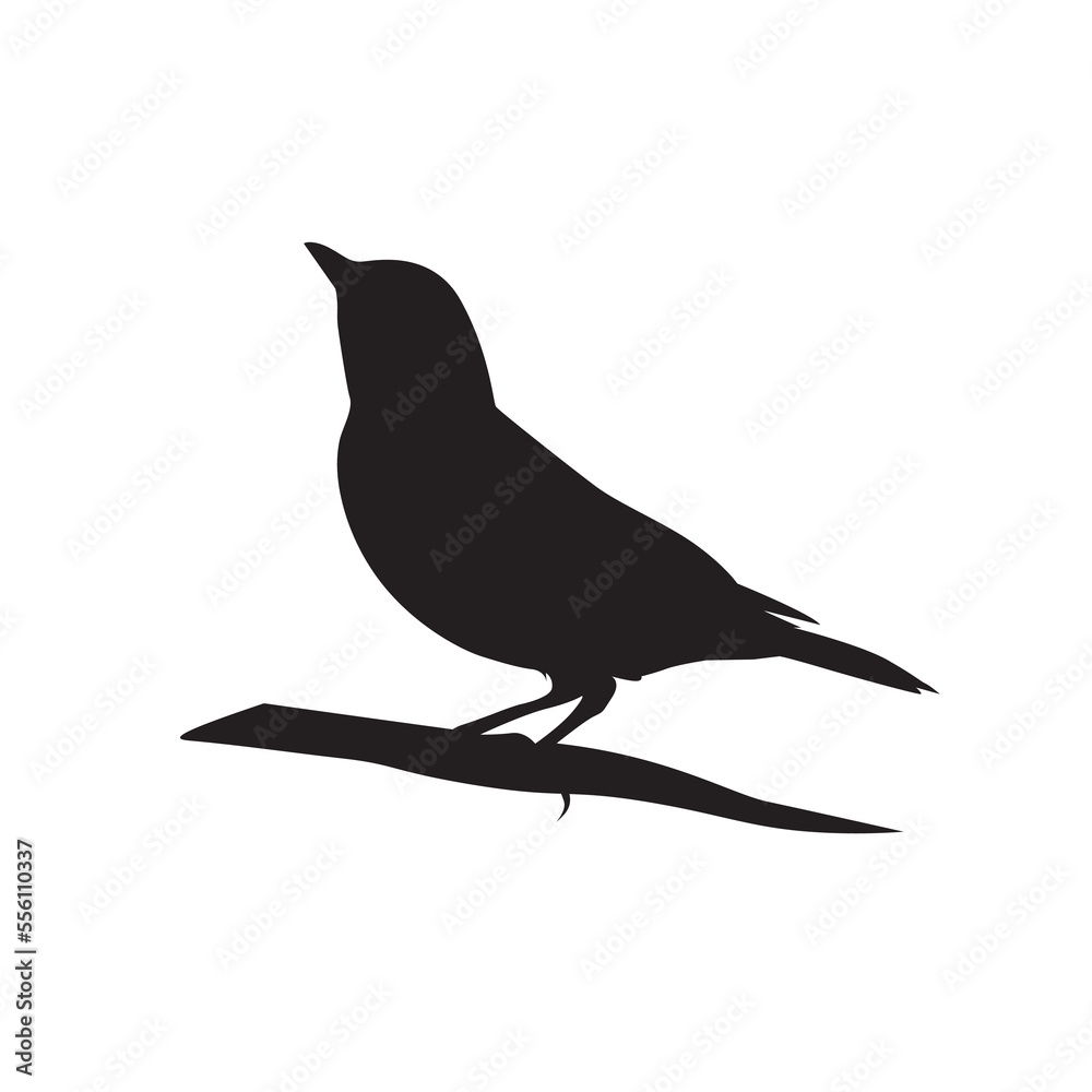 Obraz premium Humming bird silhouette vector isolated. Cute bird icon.