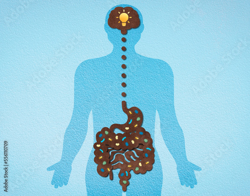 The Gut-Brain Axis - Conceptual Illustration photo