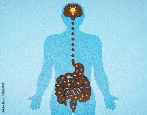 The Gut-Brain Axis - Conceptual Illustration