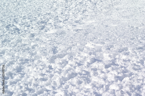 雪　冬　雪原