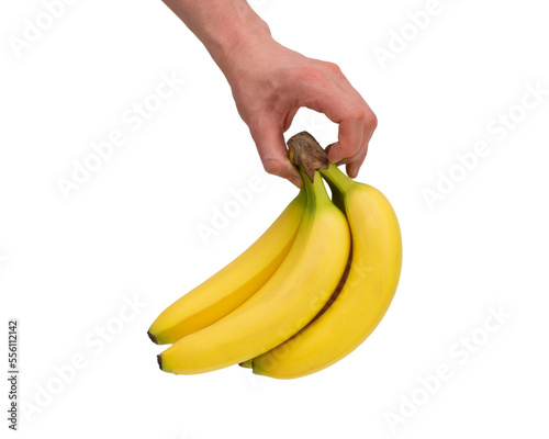 A bunch of mini bananas in male hand. Image of exotic fruits isolated on white background. Bio fresh fruits.