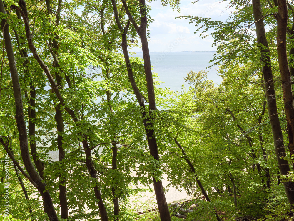 Naklejka premium An der Ostsee in Polen