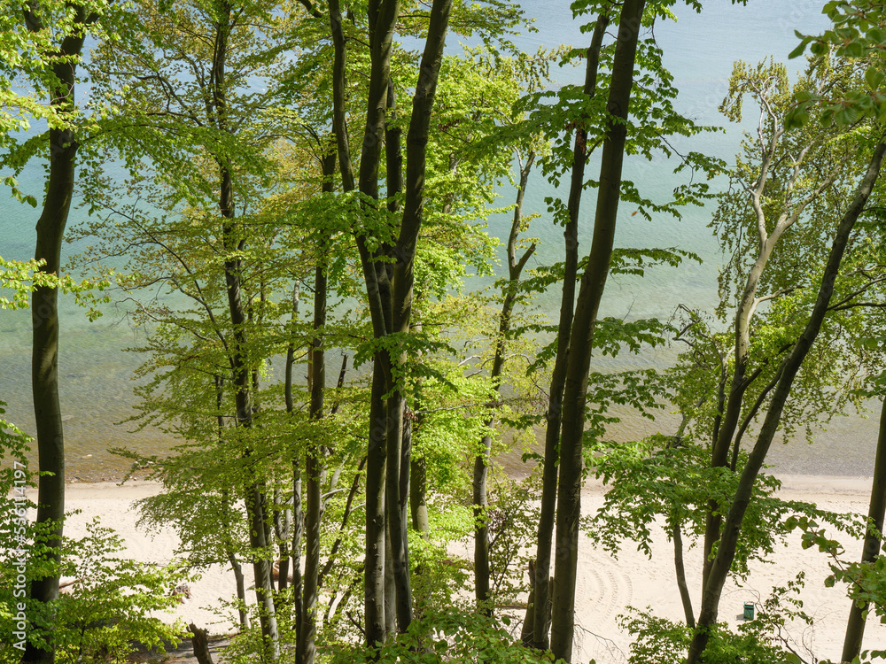 Fototapeta premium An der Ostsee in Polen