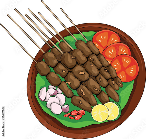 sate illustration